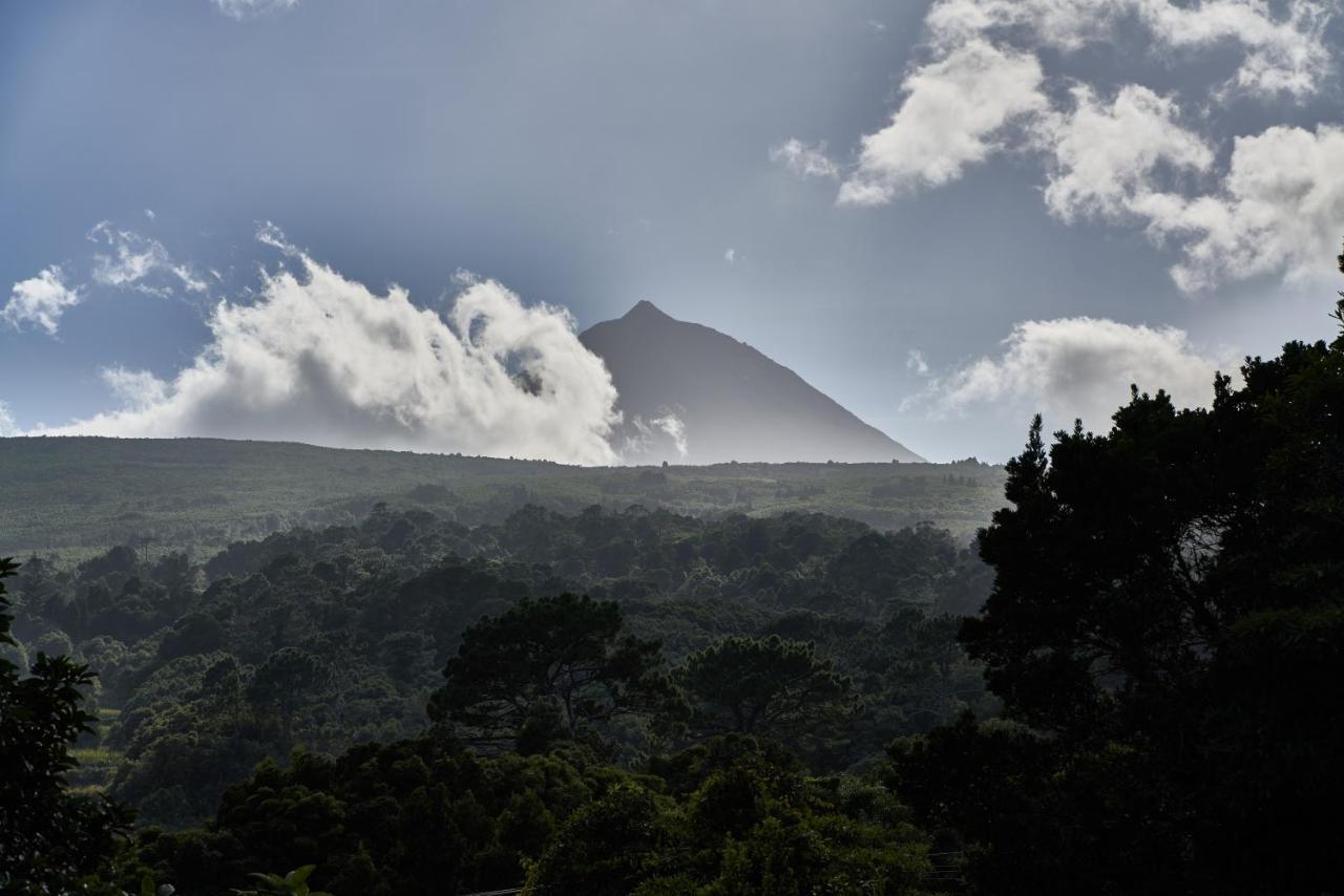 Villa 4 Seasons São Roque do Pico Eksteriør billede
