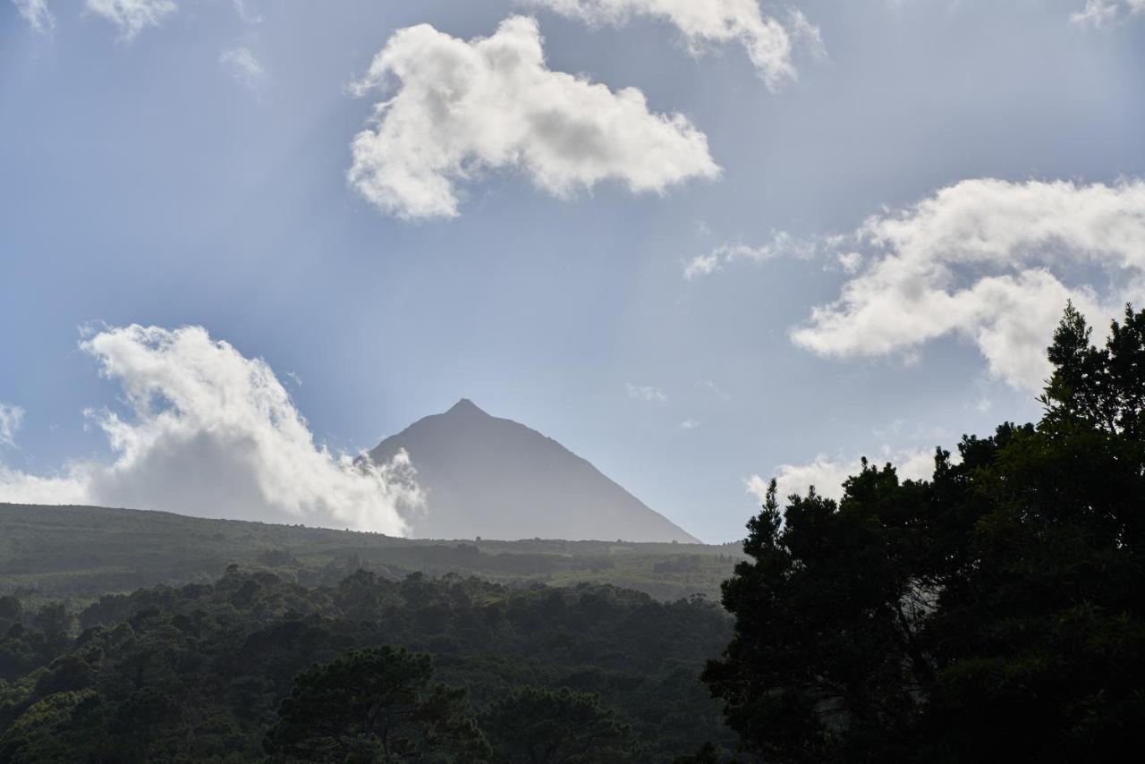 Villa 4 Seasons São Roque do Pico Eksteriør billede