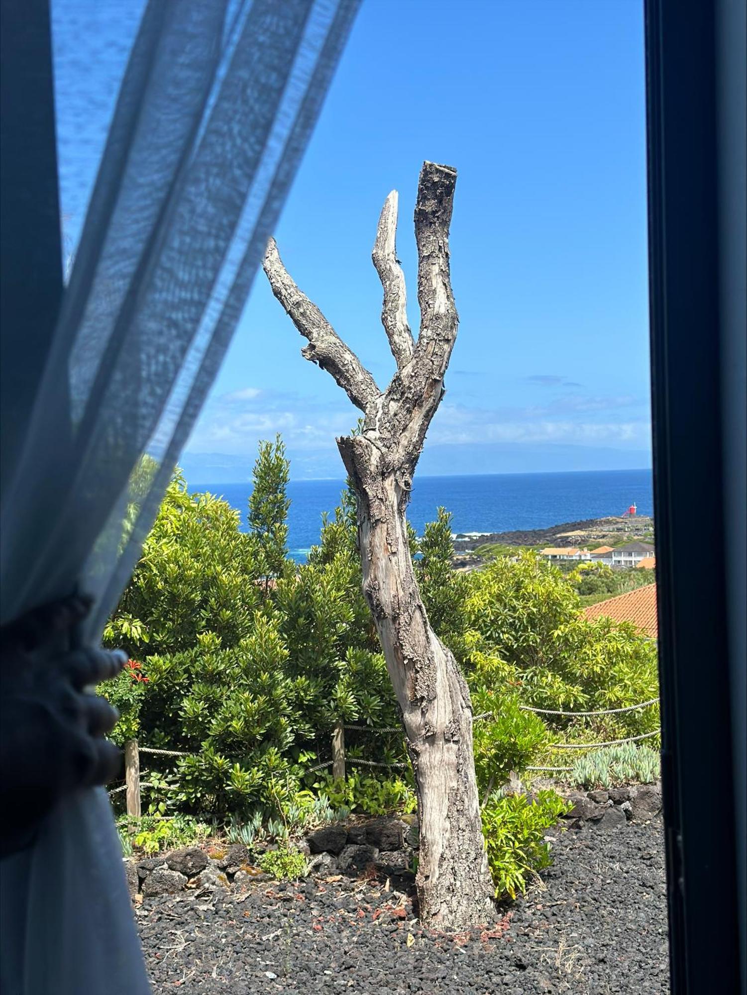 Villa 4 Seasons São Roque do Pico Eksteriør billede